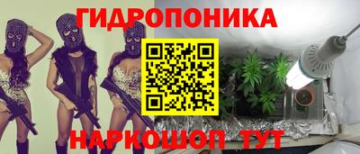 PSILOCYBIN Моздок
