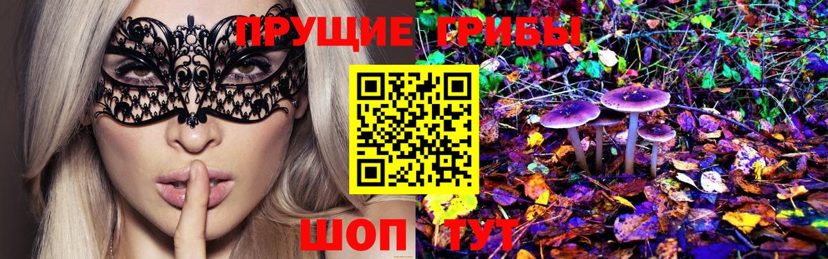 Галлюциногенные грибы GOLDEN TEACHER  Псилоцибиновые грибы Magic Shrooms  Топки  Вход с VPN 